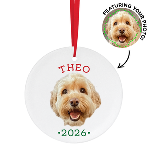 Personalized Pet Ornament