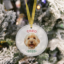 Load image into Gallery viewer, Personalized Pet Ornament
