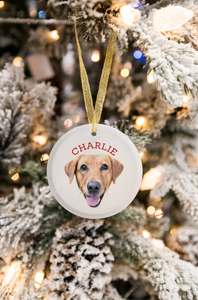 Personalized Pet Ornament