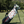 Personalized Heart Pet Golf Towel