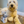 Personalized Pet Travel Mug