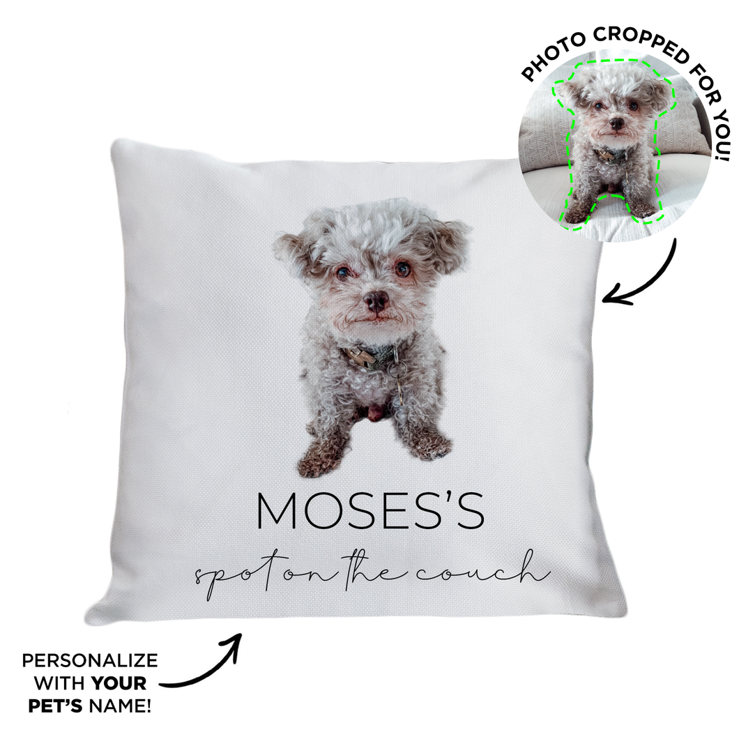 Personalized Pet Throw Pillow Cover for Couch