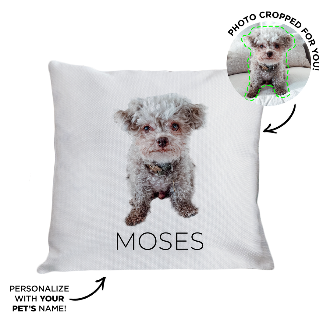 Your pet on a pillow 2025
